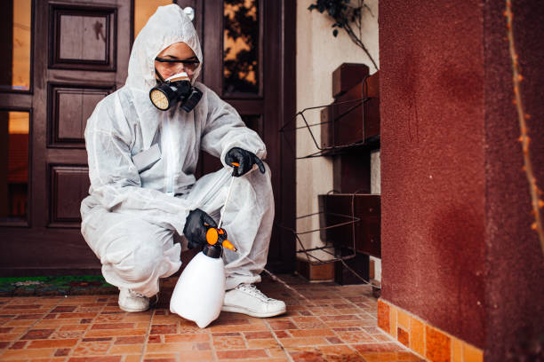 Reliable Cockroach Control contractor in Potomac, MD by Nex Pest Control